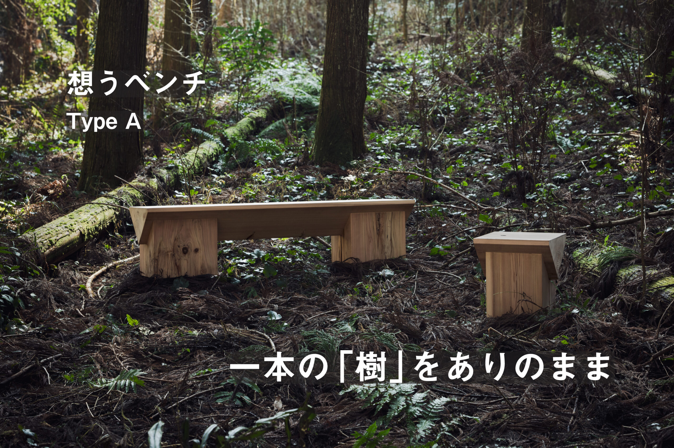 eyecatch-bench-matshui-scaled.jpg